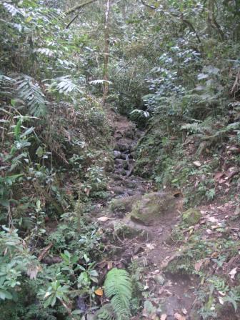 Trekking through fallen trees, moss covered rocks and dangerous ledges makes the Black Cat Trail one of the most difficult tracks in the world.